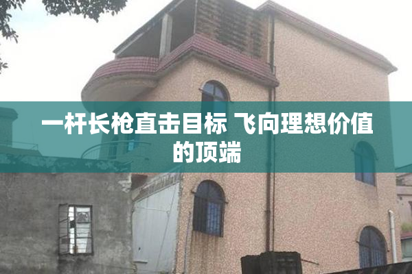 一杆长枪直击目标 飞向理想价值的顶端