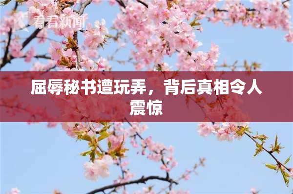屈辱秘书遭玩弄，背后真相令人震惊