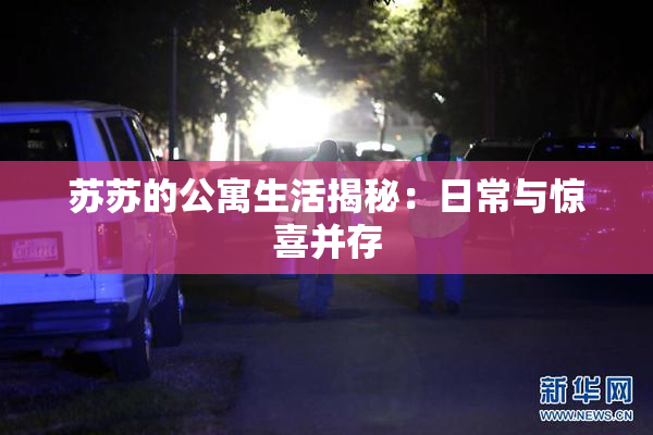 苏苏的公寓生活揭秘：日常与惊喜并存
