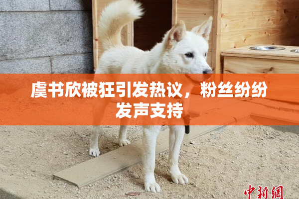 虞书欣被狂引发热议，粉丝纷纷发声支持