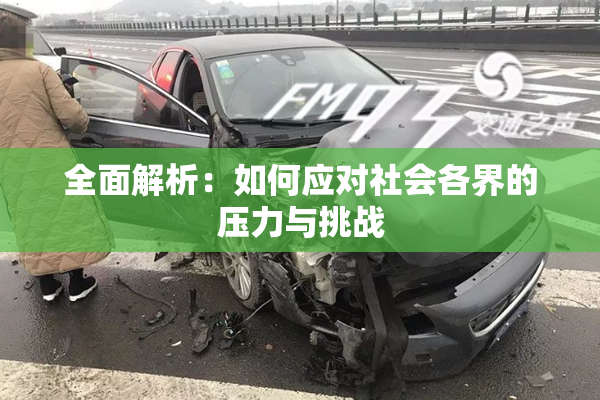 全面解析：如何应对社会各界的压力与挑战