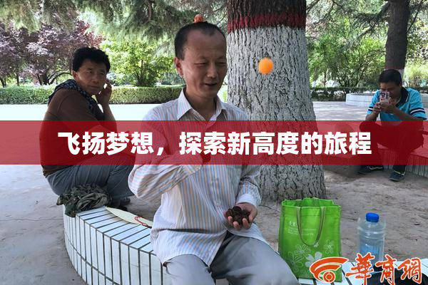 飞扬梦想，探索新高度的旅程