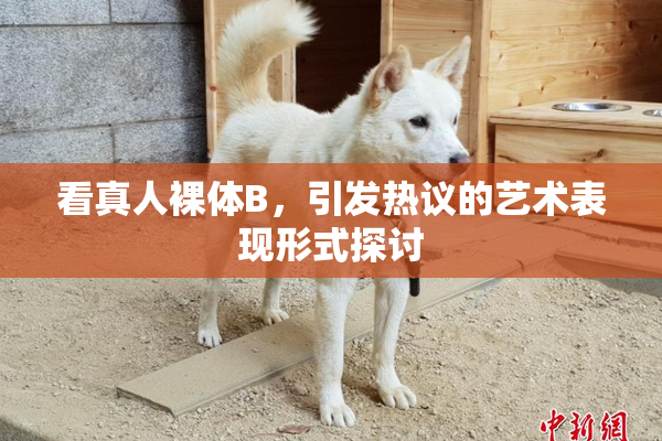 看真人裸体B，引发热议的艺术表现形式探讨