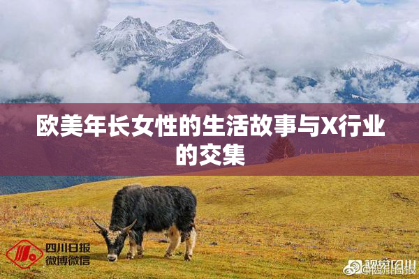 欧美年长女性的生活故事与X行业的交集