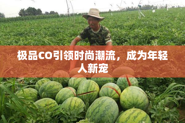 极品CO引领时尚潮流，成为年轻人新宠