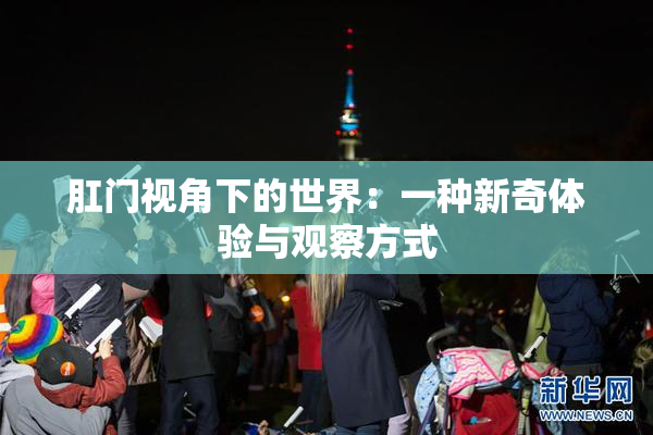 肛门视角下的世界：一种新奇体验与观察方式