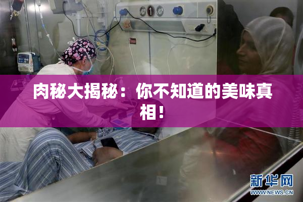 肉秘大揭秘：你不知道的美味真相！