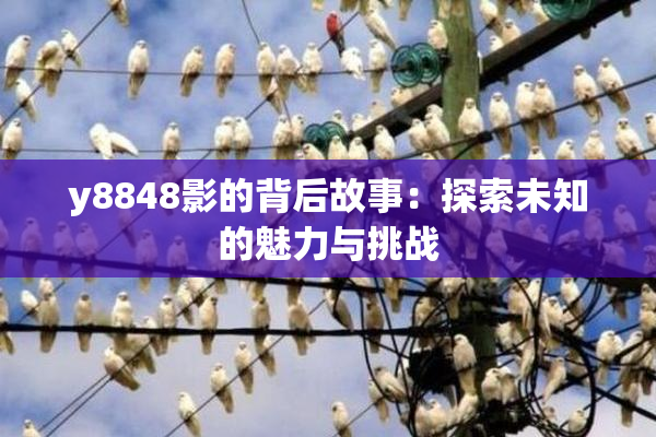 y8848影的背后故事：探索未知的魅力与挑战