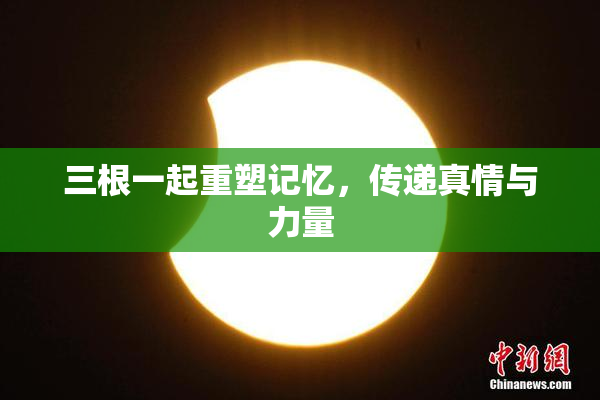 三根一起重塑记忆，传递真情与力量