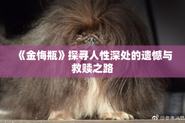 《金悔瓶》探寻人性深处的遗憾与救赎之路