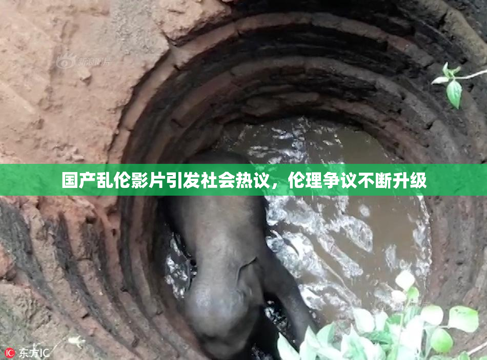 国产乱伦影片引发社会热议，伦理争议不断升级