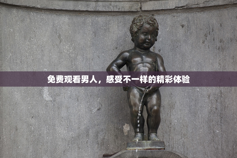 免费观看男人，感受不一样的精彩体验