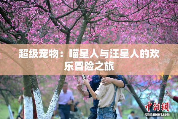 超级宠物：喵星人与汪星人的欢乐冒险之旅