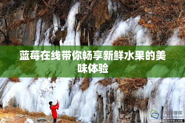 蓝莓在线带你畅享新鲜水果的美味体验