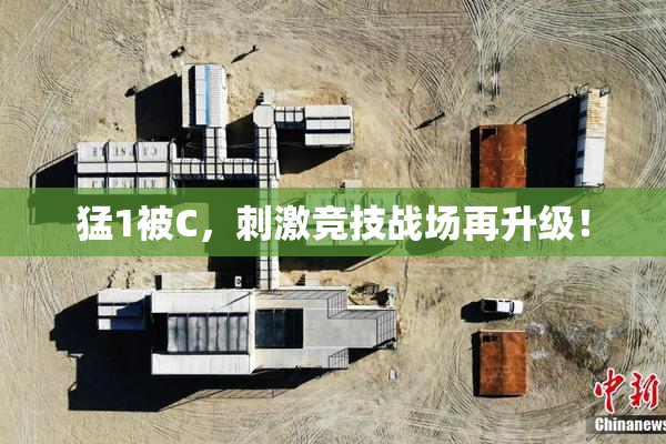 猛1被C，刺激竞技战场再升级！