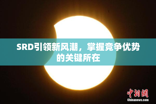 SRD引领新风潮，掌握竞争优势的关键所在