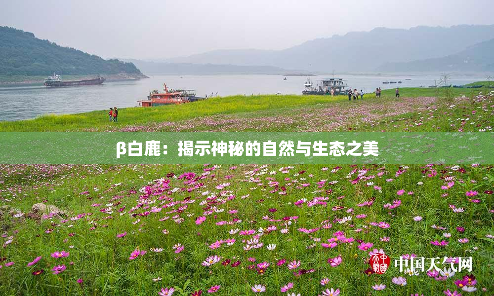 β白鹿：揭示神秘的自然与生态之美