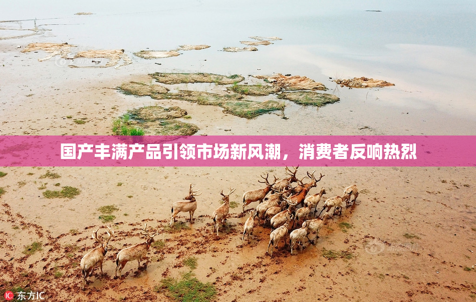 国产丰满产品引领市场新风潮，消费者反响热烈