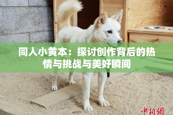 同人小黄本：探讨创作背后的热情与挑战与美好瞬间