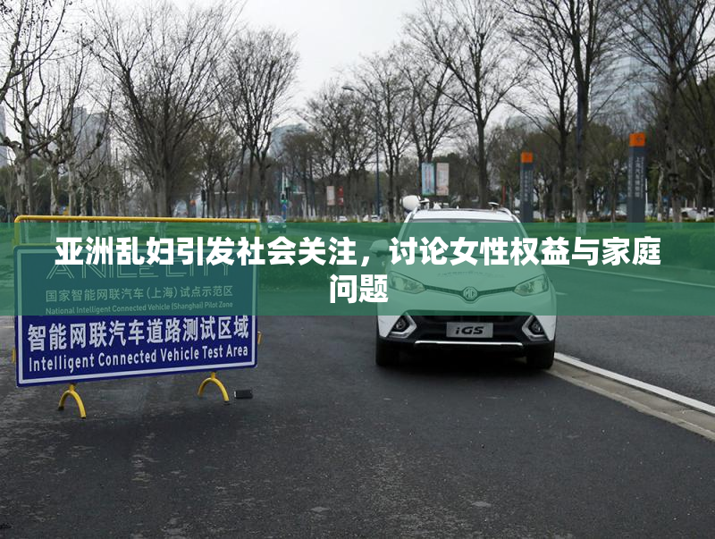 亚洲乱妇引发社会关注，讨论女性权益与家庭问题