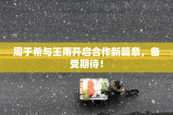 周于希与王雨开启合作新篇章，备受期待！
