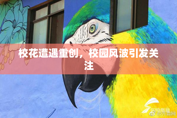 校花遭遇重创，校园风波引发关注