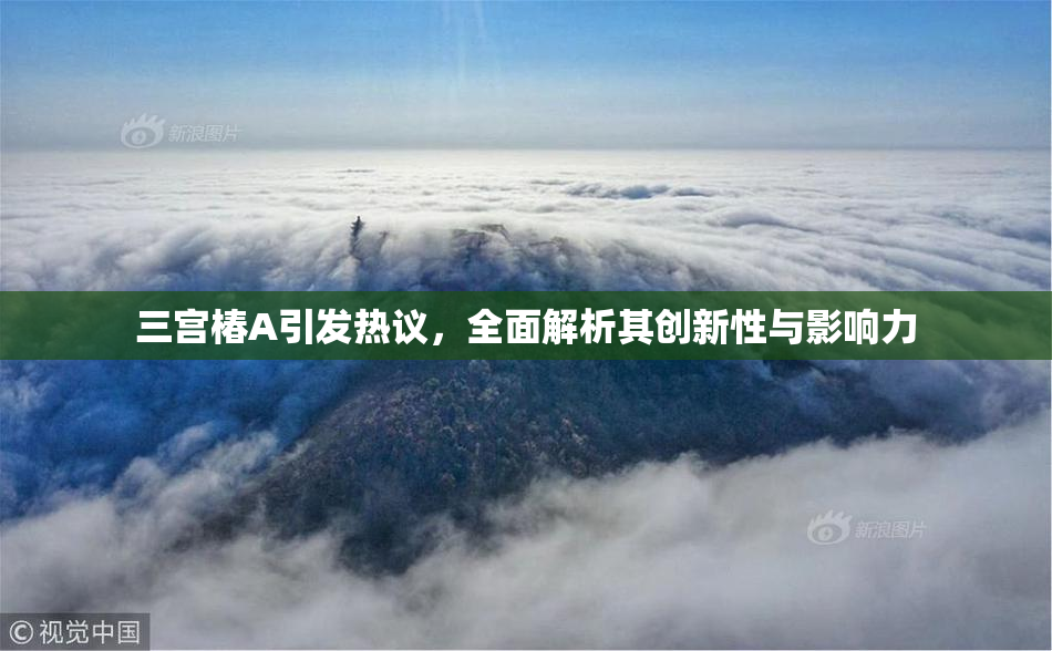三宫椿A引发热议，全面解析其创新性与影响力