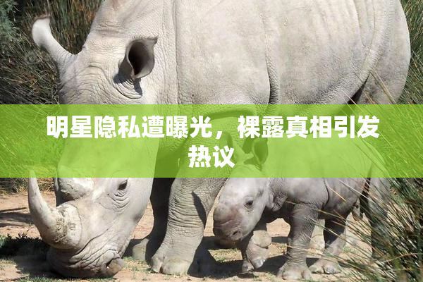 明星隐私遭曝光，裸露真相引发热议