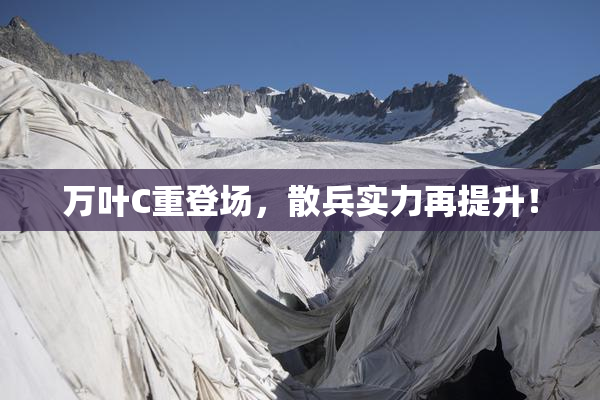 万叶C重登场，散兵实力再提升！