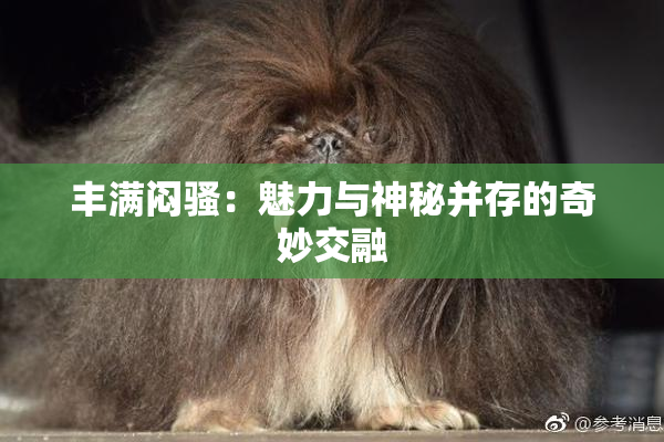 丰满闷骚：魅力与神秘并存的奇妙交融