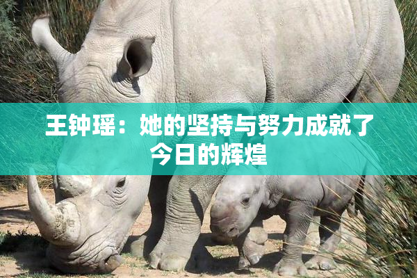 王钟瑶：她的坚持与努力成就了今日的辉煌