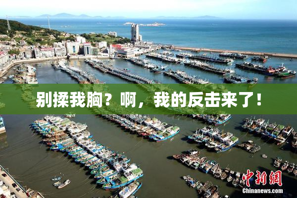 别揉我胸？啊，我的反击来了！