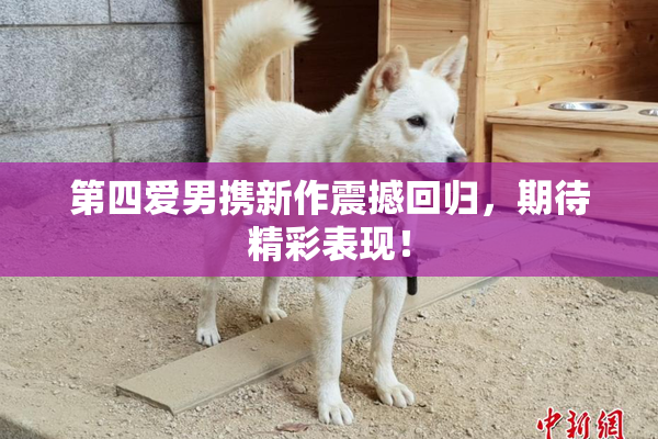 第四爱男携新作震撼回归，期待精彩表现！