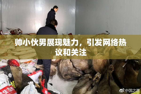 帅小伙男展现魅力，引发网络热议和关注