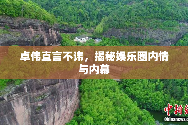 卓伟直言不讳，揭秘娱乐圈内情与内幕