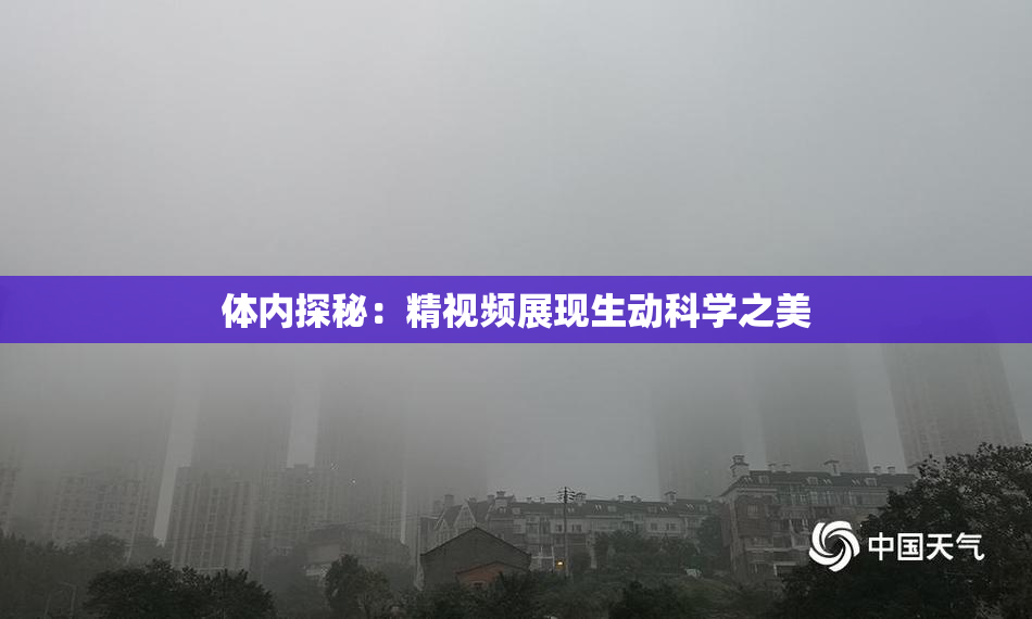 体内探秘：精视频展现生动科学之美