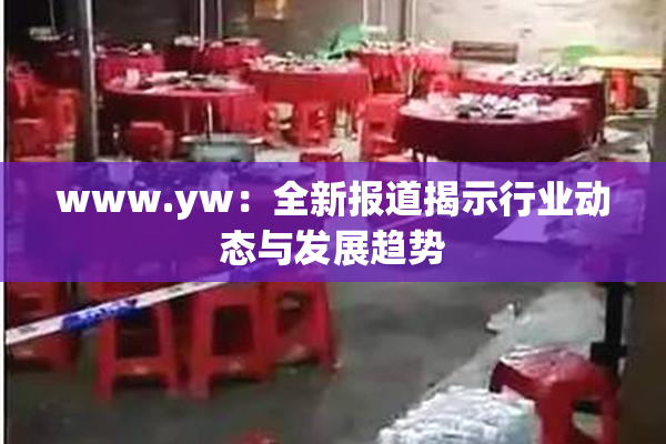 www.yw：全新报道揭示行业动态与发展趋势