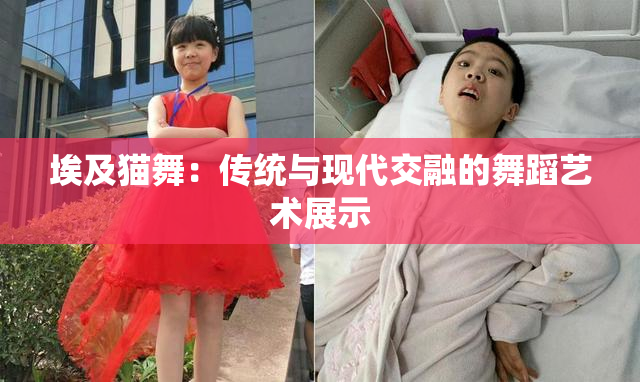 埃及猫舞：传统与现代交融的舞蹈艺术展示