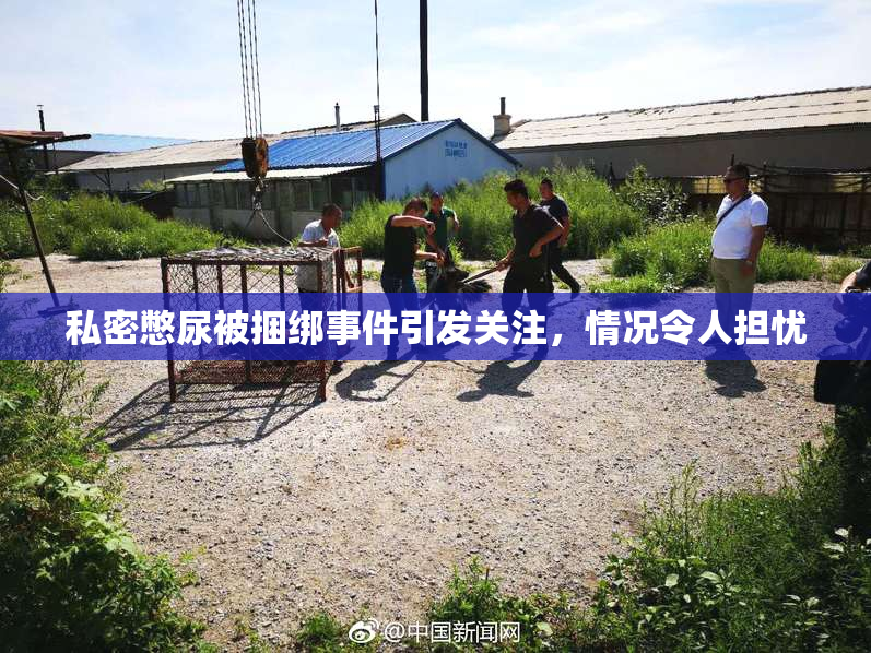 私密憋尿被捆绑事件引发关注，情况令人担忧