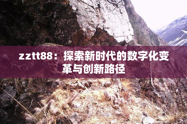 zztt88：探索新时代的数字化变革与创新路径