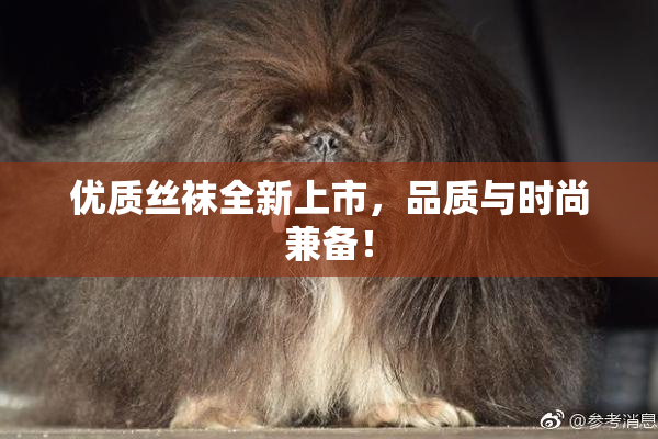 优质丝袜全新上市，品质与时尚兼备！
