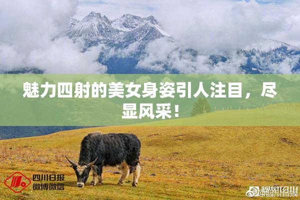 魅力四射的美女身姿引人注目，尽显风采！