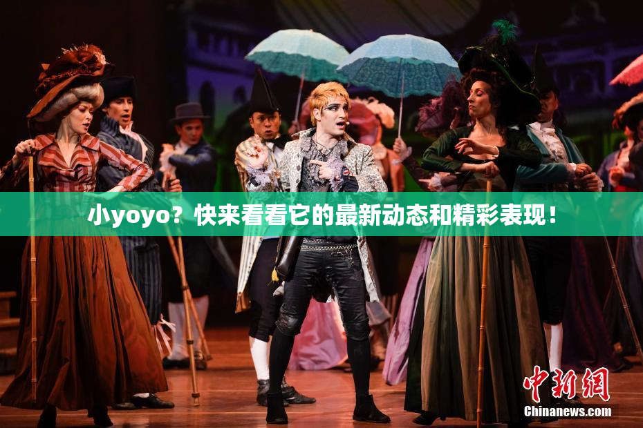小yoyo？快来看看它的最新动态和精彩表现！