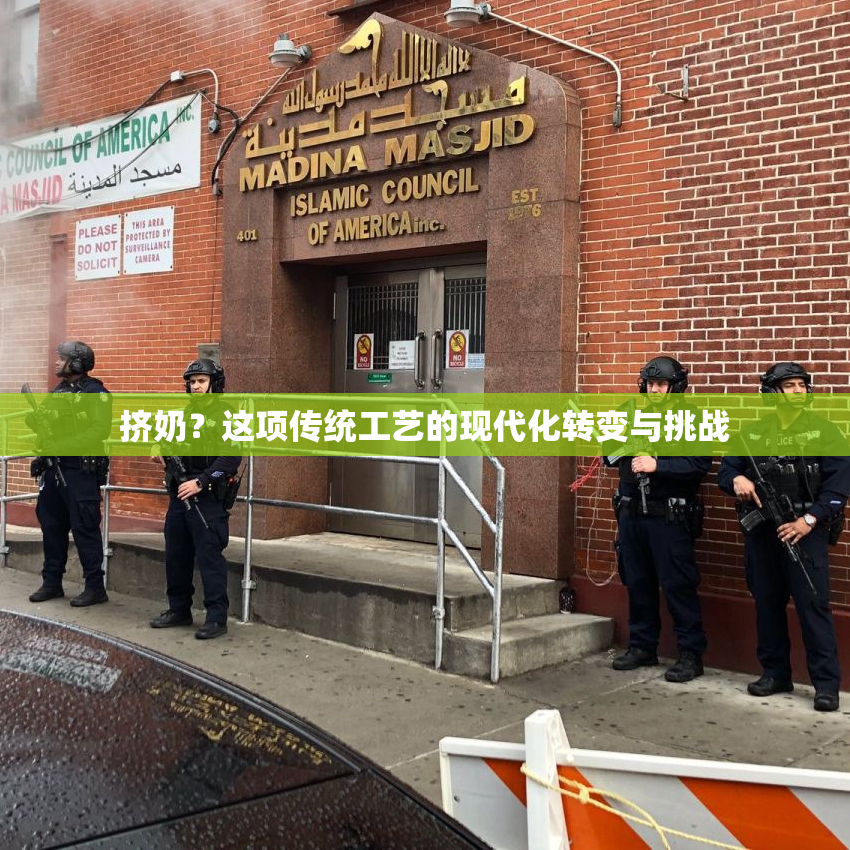 挤奶？这项传统工艺的现代化转变与挑战