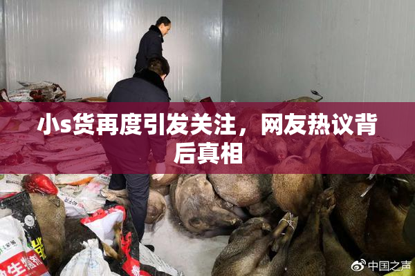 小s货再度引发关注，网友热议背后真相