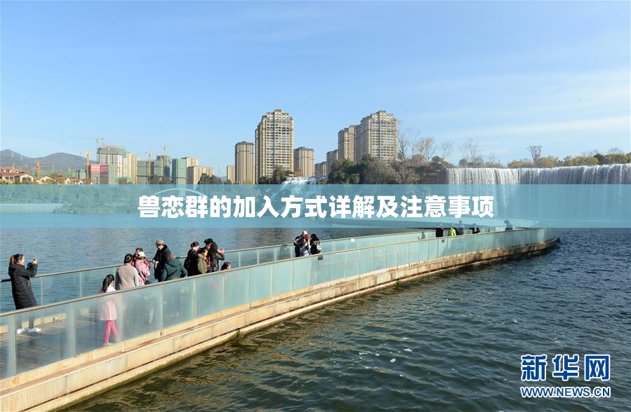兽恋群的加入方式详解及注意事项