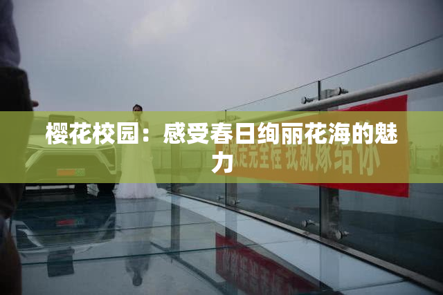 樱花校园：感受春日绚丽花海的魅力