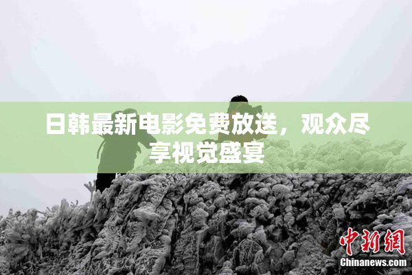 日韩最新电影免费放送，观众尽享视觉盛宴