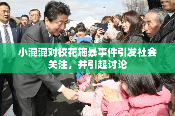 小混混对校花施暴事件引发社会关注，并引起讨论