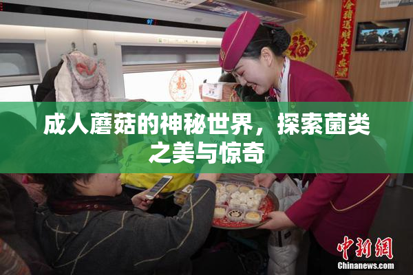 成人蘑菇的神秘世界，探索菌类之美与惊奇